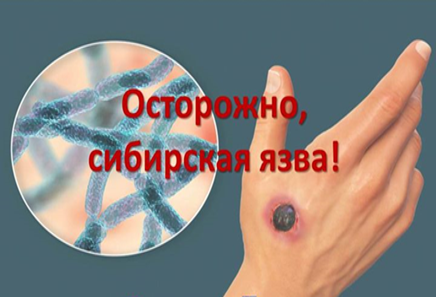 Профилактика инфекционных заболеваний животных